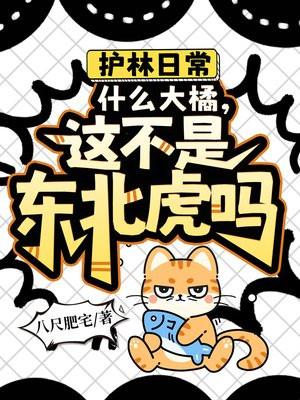 教我如何不想他小说by梦筱二