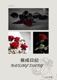 沉沉月影（1v2 h）