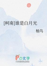 我的大理寺CSI手扎