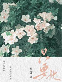 死遁后光明神他疯了