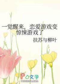 笨蛋美人翻车后