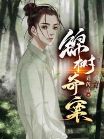 许维安阮宁婉全集阅读