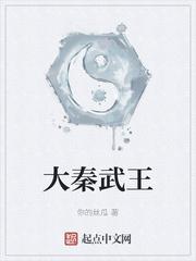 人间过客歌词大意