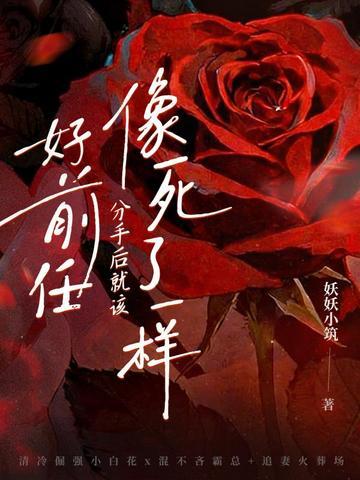 四合院：我的系统每周更新