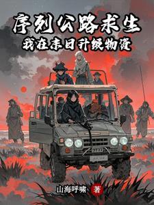 盗墓之摸金总督