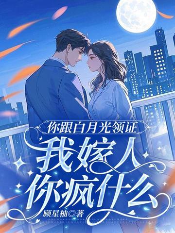 小司机的巅峰之路