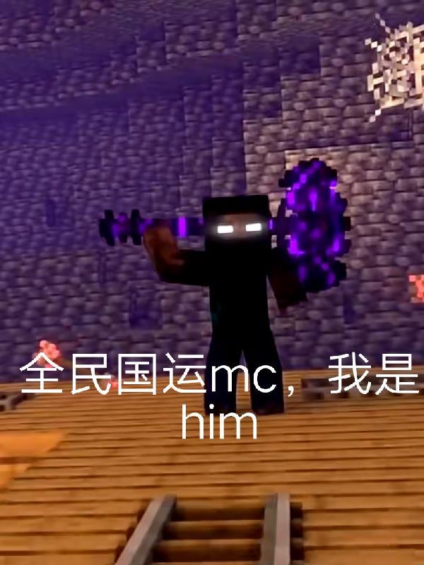 我的影子领域