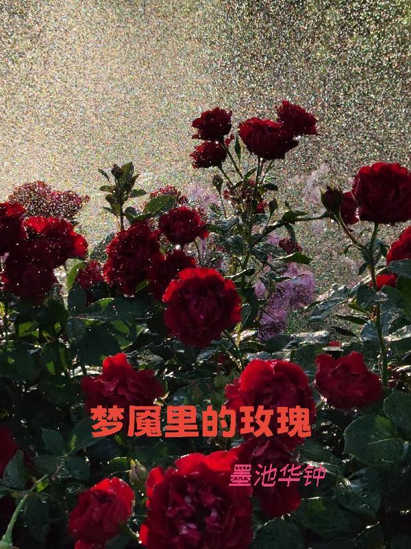 灵气复苏我是警察我要打击犯罪