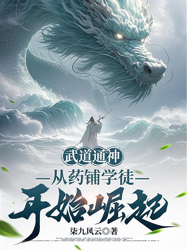 双穿大明：我教雄英开盛世