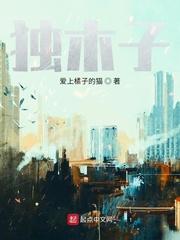 神豪国际投资家