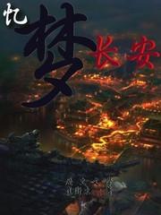 重回大宋安天下