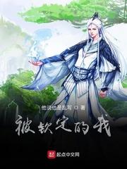 天启星皇纪