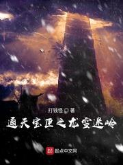 盗墓之开局征服怒晴鸡