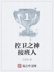 王者之荣耀王者