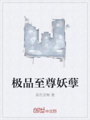 大明乱贼