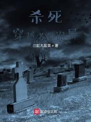 叶枫姜婉儿洛雪