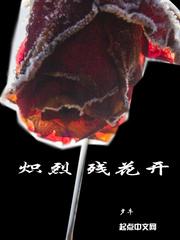 追轮