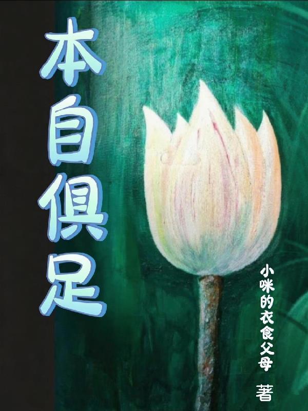 混沌霸天：叶辰逆世传奇