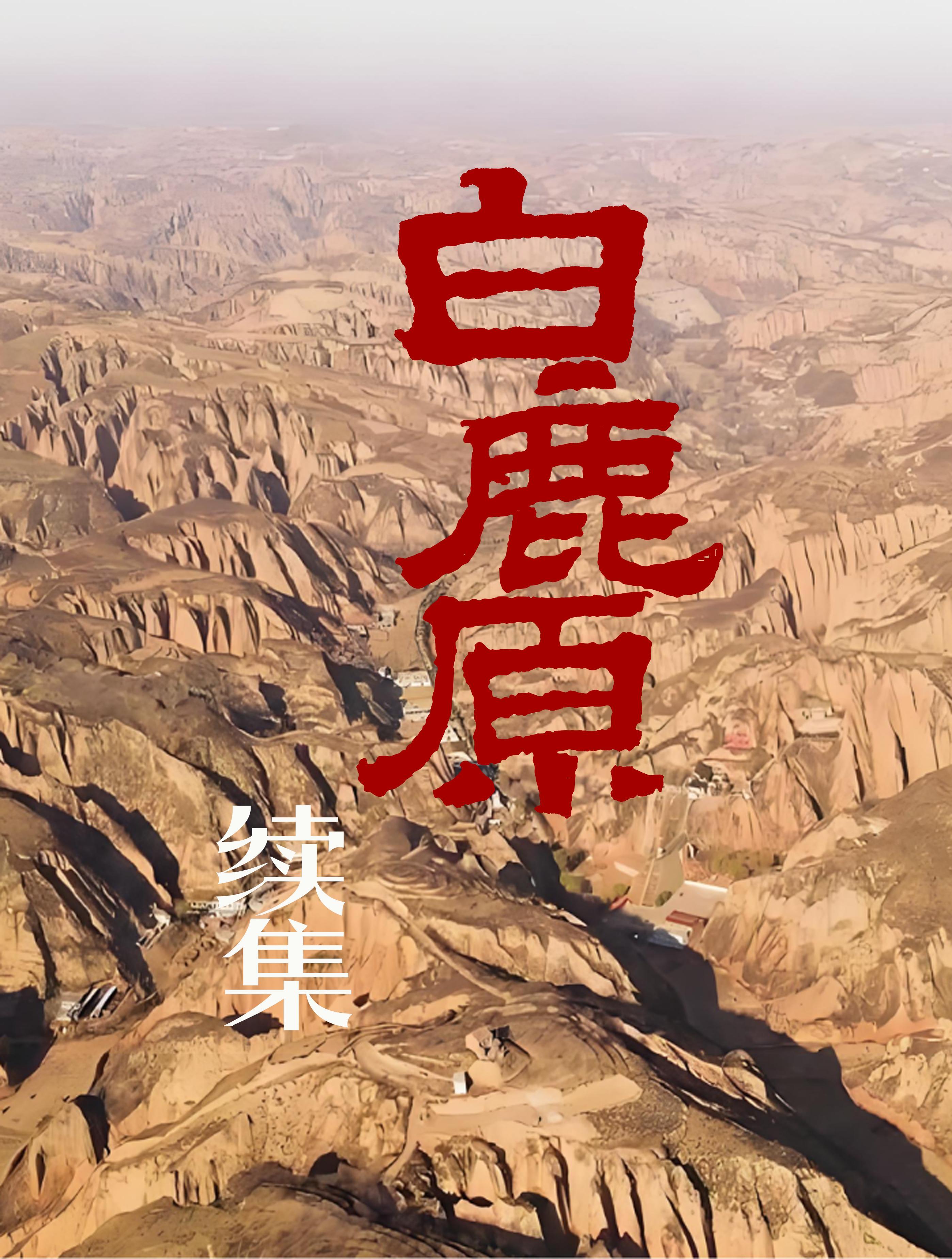 先生我喜欢你晋江