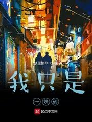 租个女友回家过年