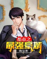 这月老好帅