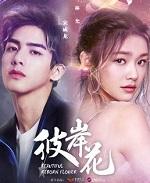 我喜欢你所以世界是甜的