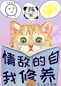 雷锋系统by百度