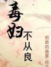 家养小首辅