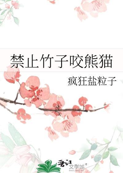 公府嫡幼子科举路